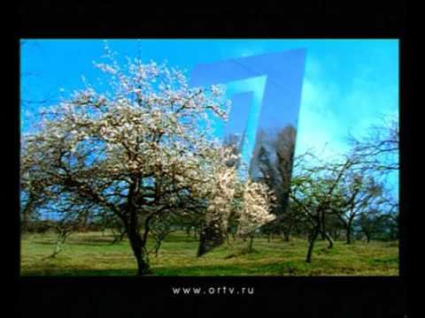 Зеркальная заставка ОРТ