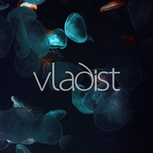 Подводный мир медузы