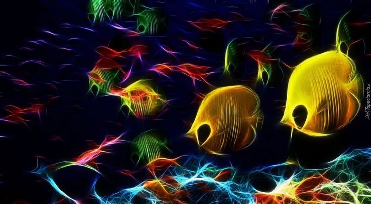 Красивые рыбы