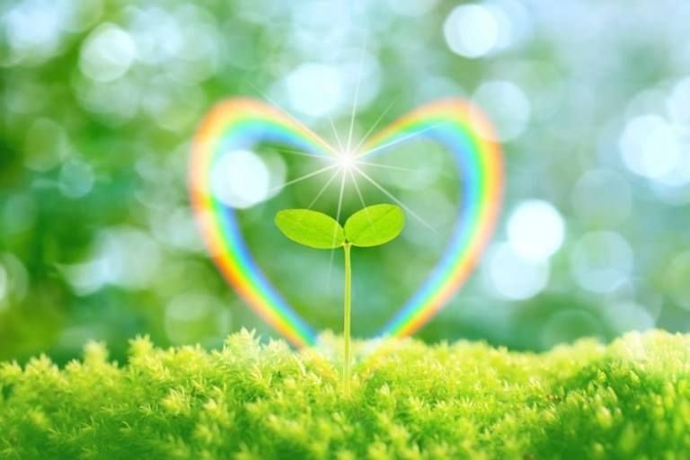 Радость жизни природа