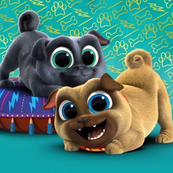 Дружные мопсы Бинго