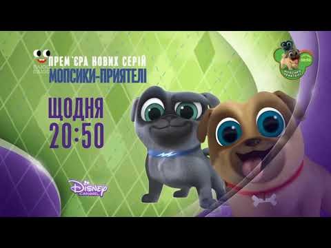 Мультик дружные мопсы