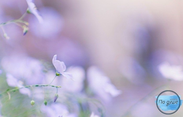 Фон цветочный нежный