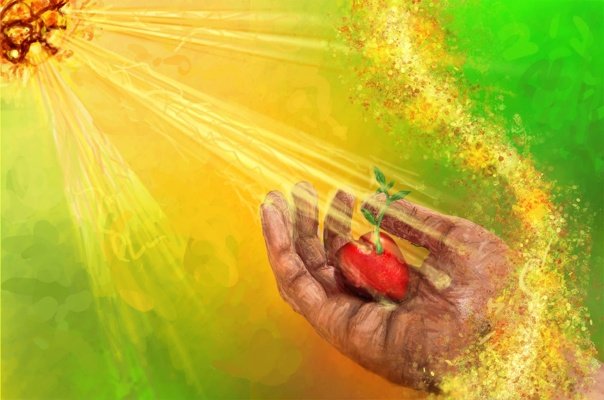 Добро и доброта