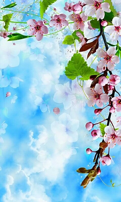 Красивая Весна