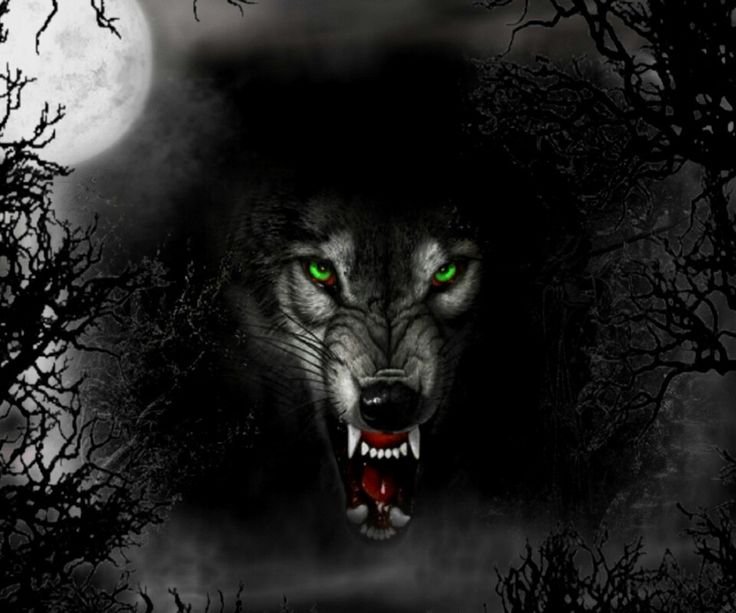 Оскалившийся волк