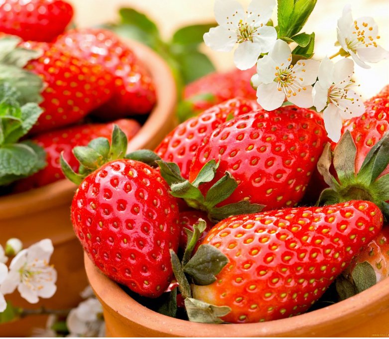 Клубника свежая