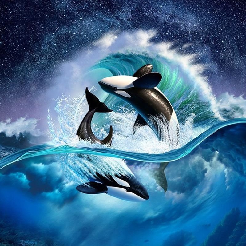 Картина Касатка