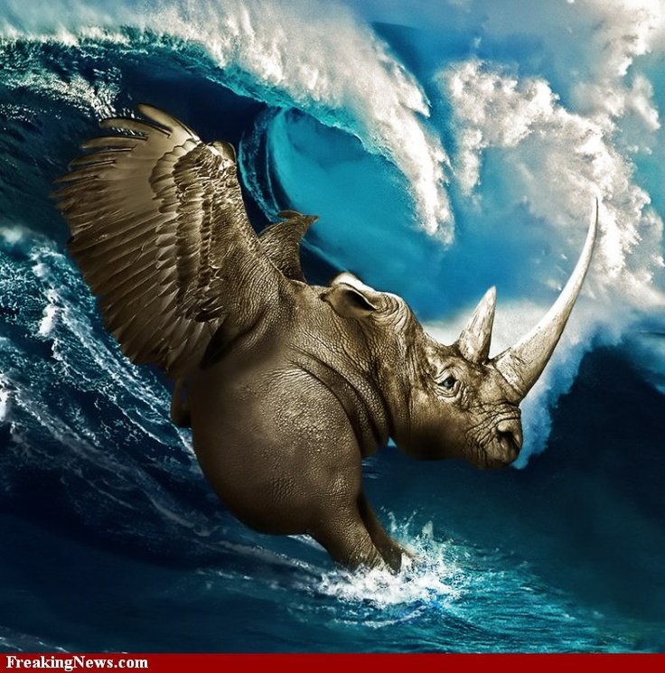 Носорог арт