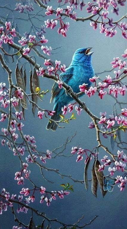 Красивые птицы на ветке