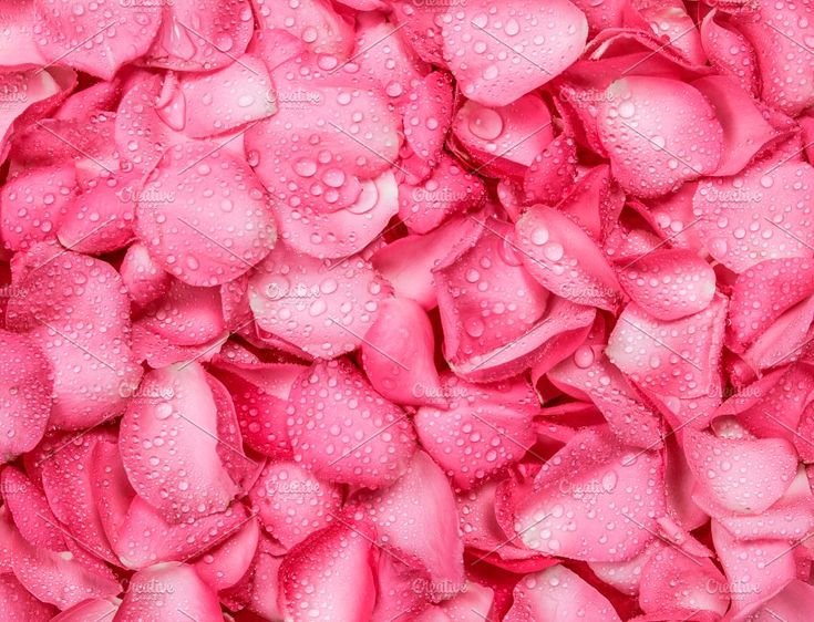 Розовые обои