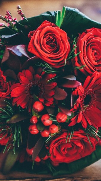 Красный цветок