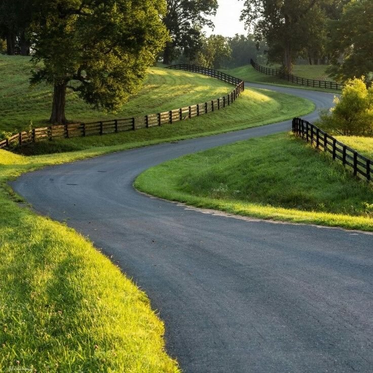 Природа дорога