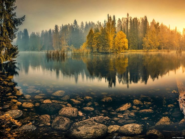 Озеро в лесу