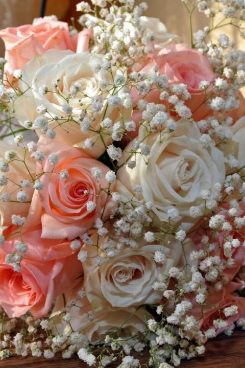 Шикарные цветы