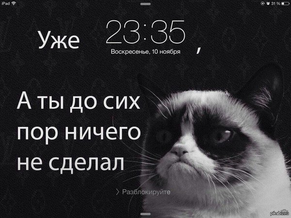 Прикольные обои с Цитатами