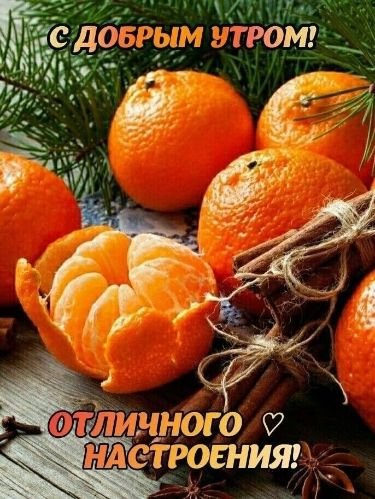 Как выбрать сладкие мандарины