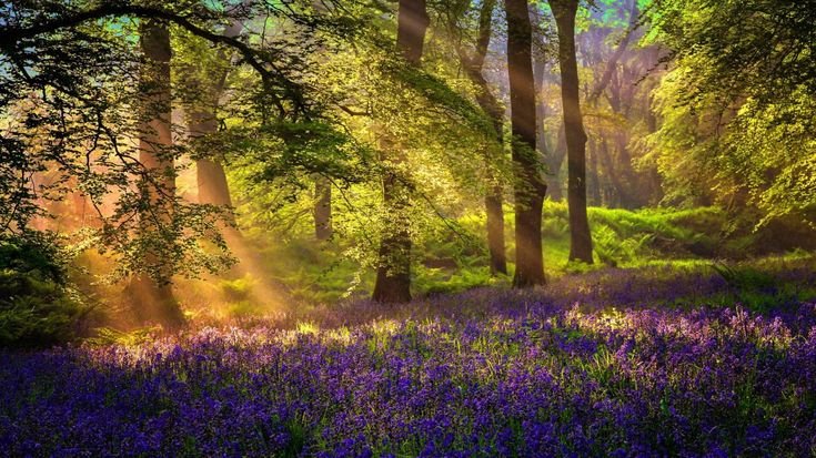 Красивые весенние пейзажи