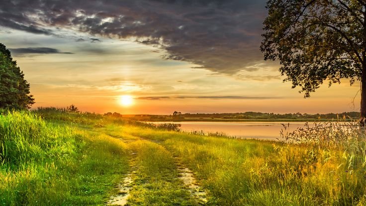 Родные просторы природа России