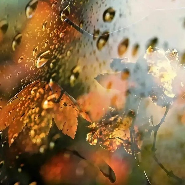 Дождь на стекле