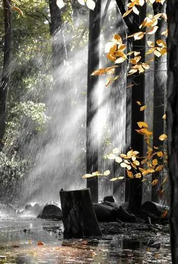 Осенний ливень