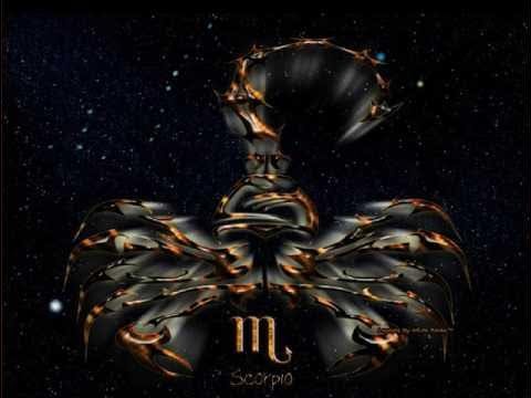 Скорпион на заставку