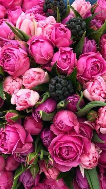 Шикарные цветы