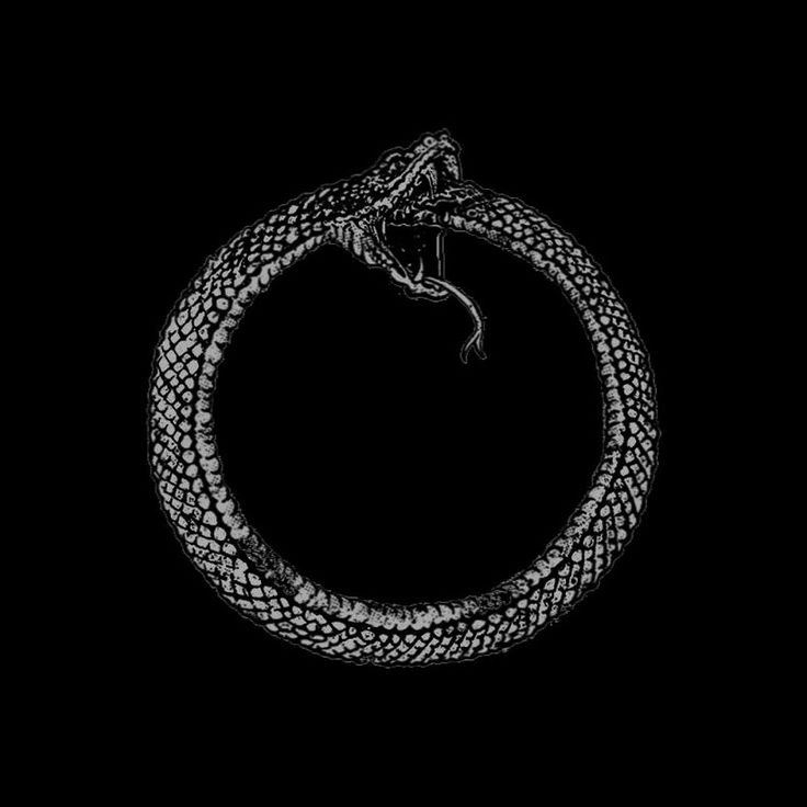 Уроборос дракон бесконечности