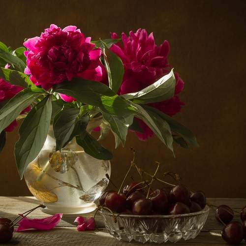 Алина Ланкина Фотонатюрморты