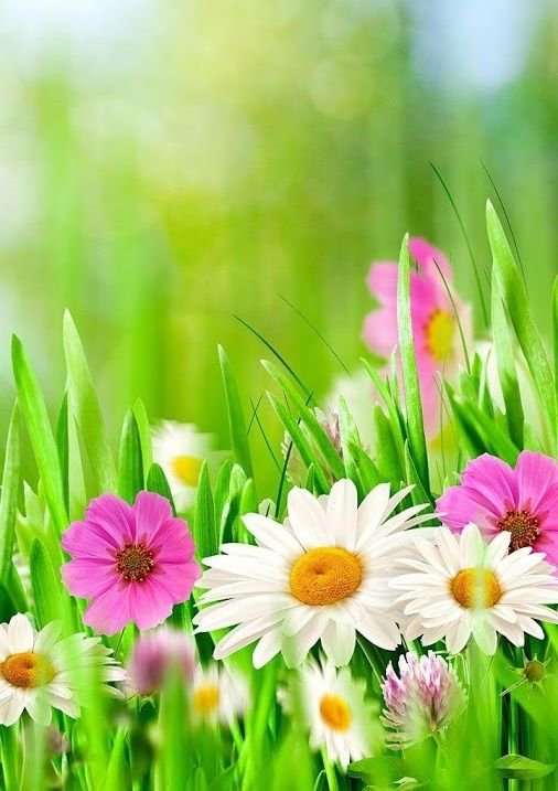 Весенний фон