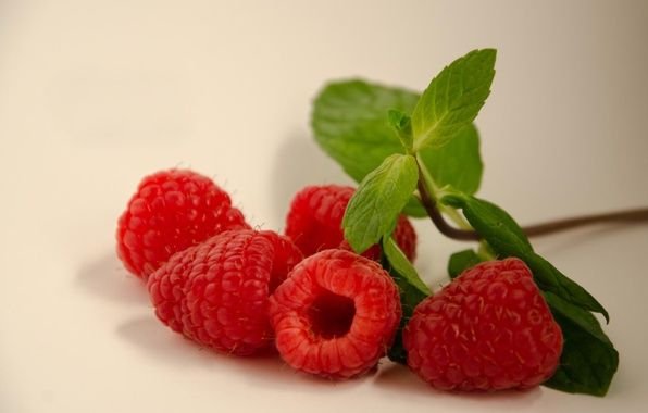 Красивые ягоды