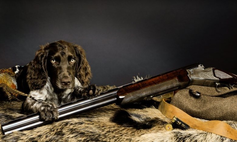 Охотник с ружьем