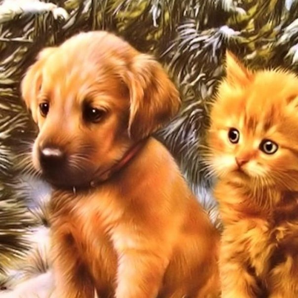 Красивые щенята и котята