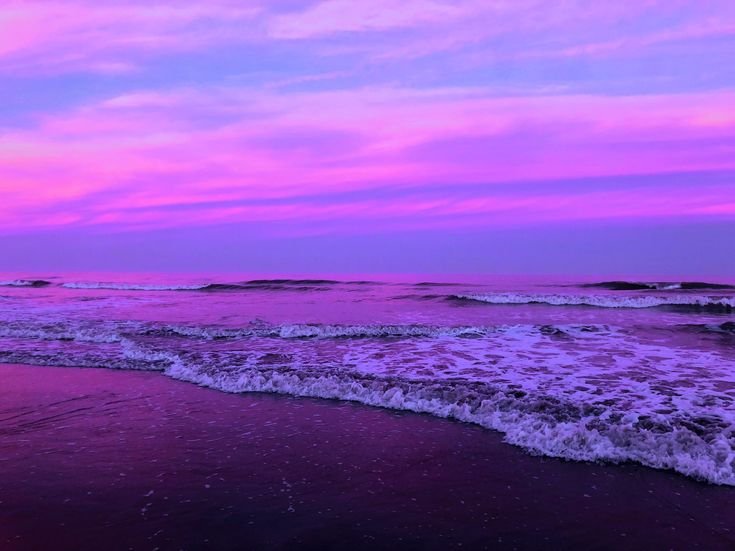 Перпл Бич 2022