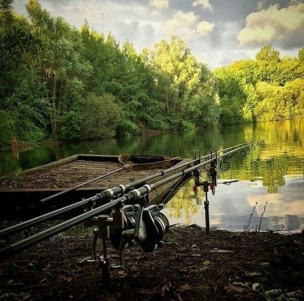 Карпфишинг Англия