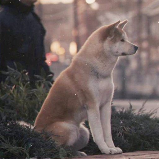 Хатико фильм 2023