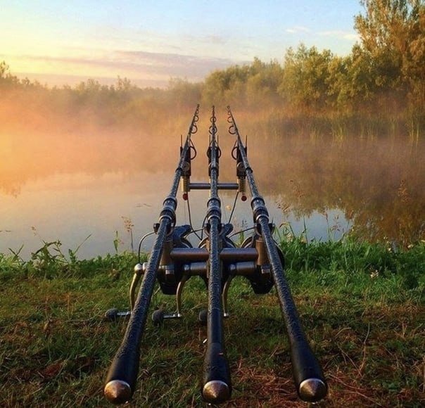 Доброе утро карпфишинг