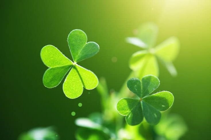 Заставки приносящие удачу