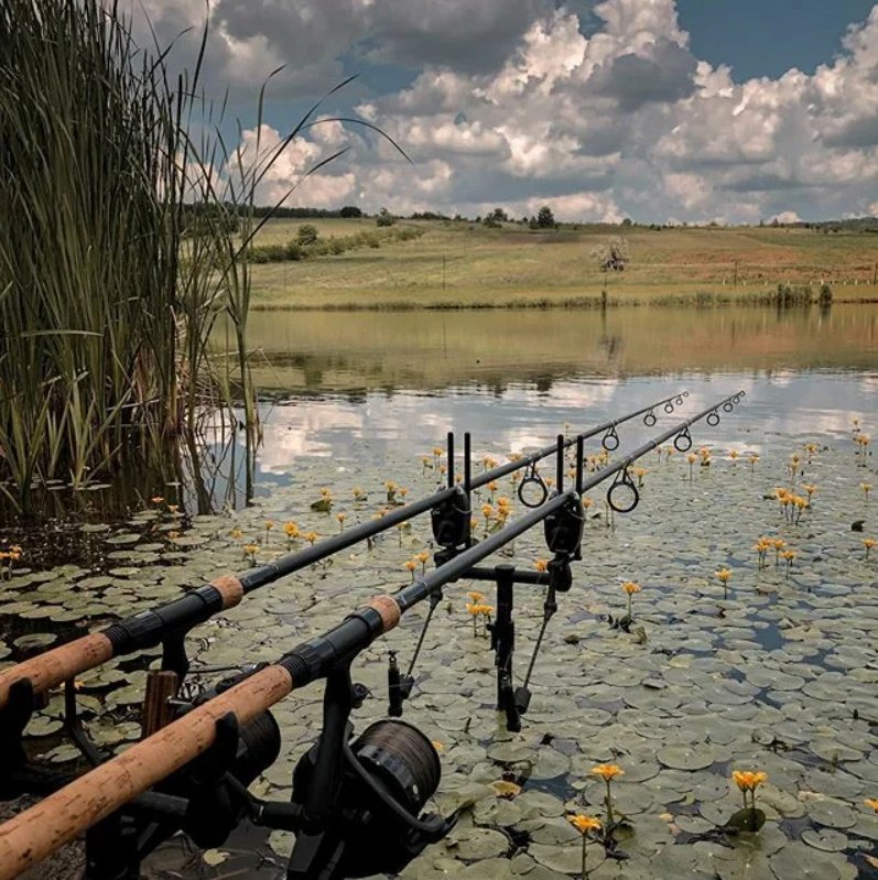 Карпфишинг утро