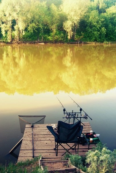 Карпфишинг красивые