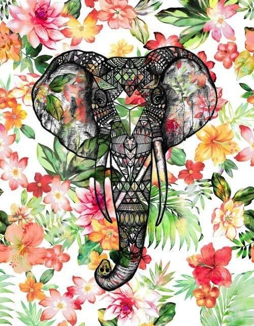 Слон рисунок заставка