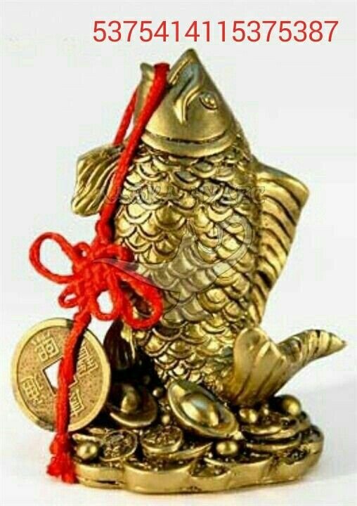 Денежный талисман фэн шуй