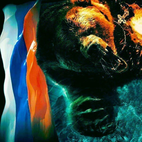 Медведь Россия