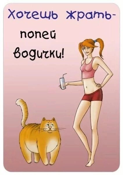 Прикольные мотиваторы для похудения