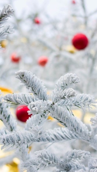 Зимняя заставка