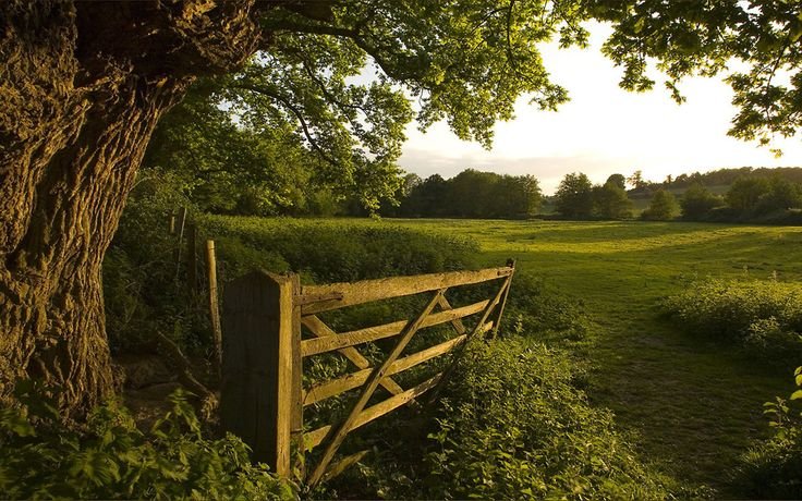 Саффолк Англия