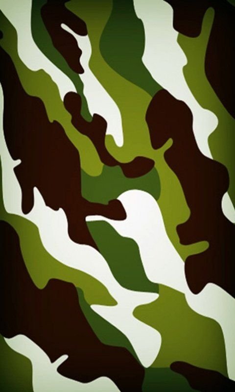 Вертикальный камуфляж