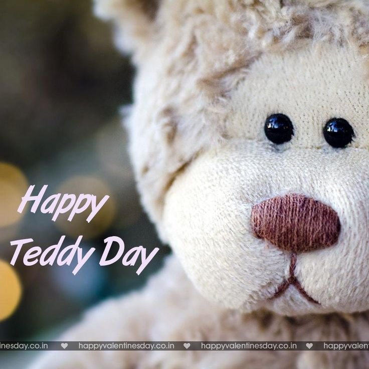 Красивые мишки