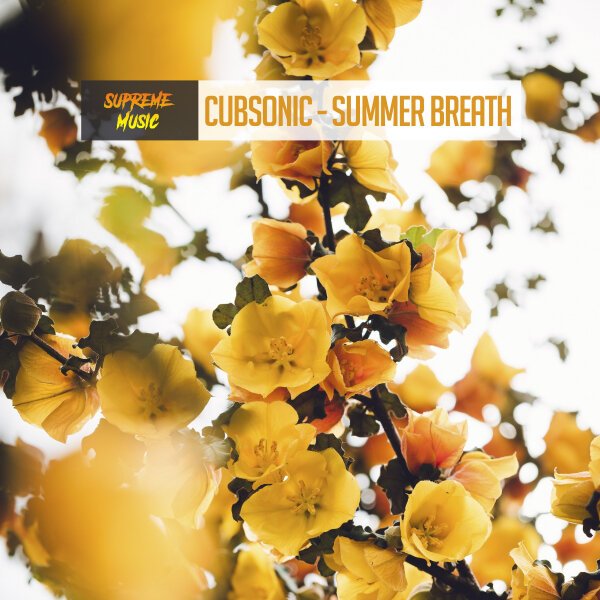 Красивые желтые цветы