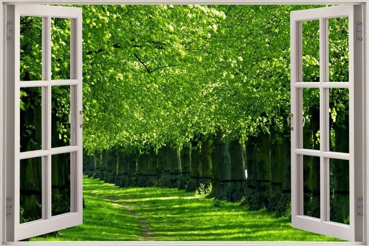 Фотообои окно сад